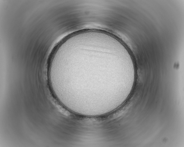 X0000090500931200708102237