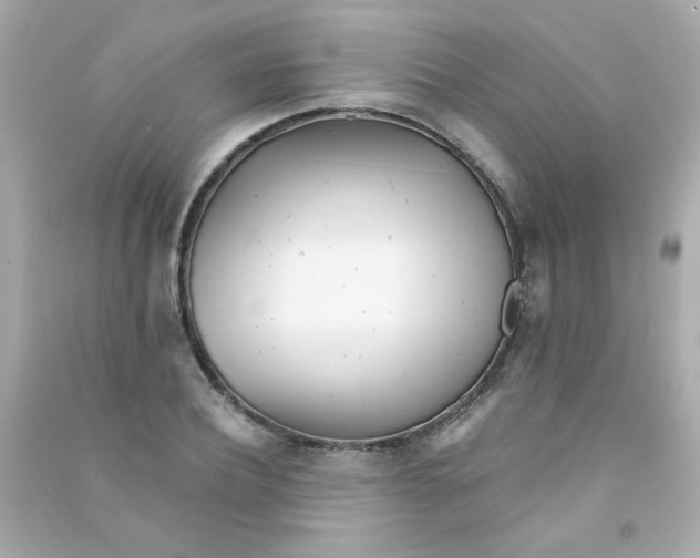 X0000090500932200708102237