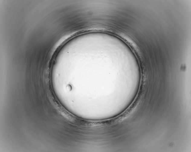 X0000090500933200708102237