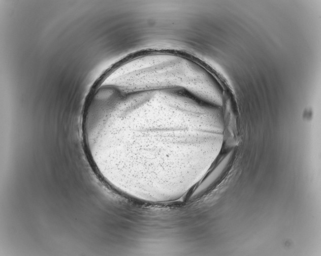 X0000090500935200708102238