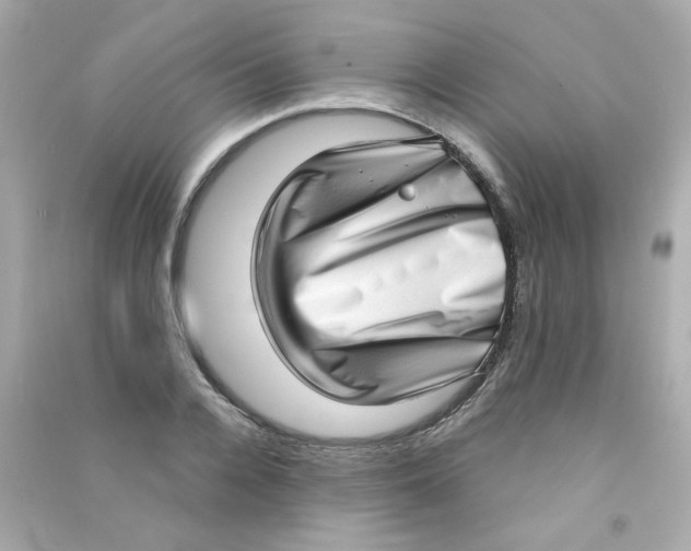 X0000090500936200708102238