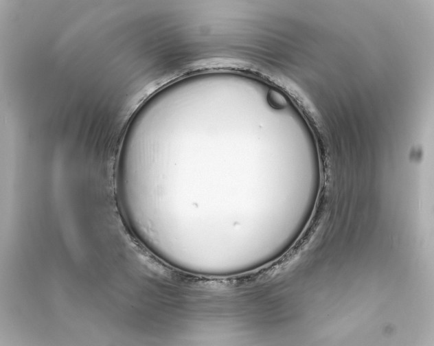 X0000090500937200708102238