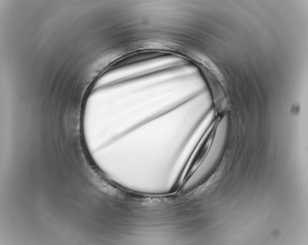 X0000090500938200708102238