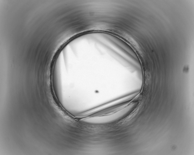 X0000090500939200708102238