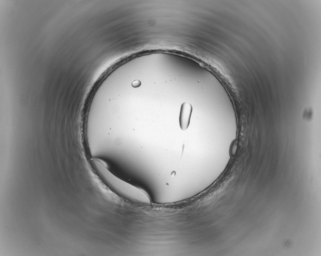 X0000090500942200708102238