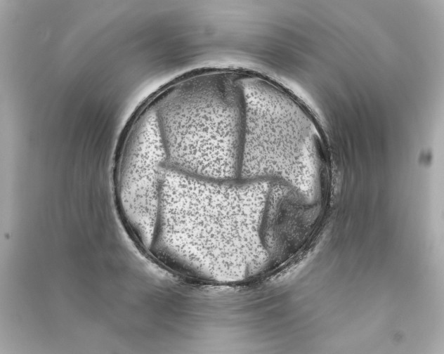 X0000090500943200708102238