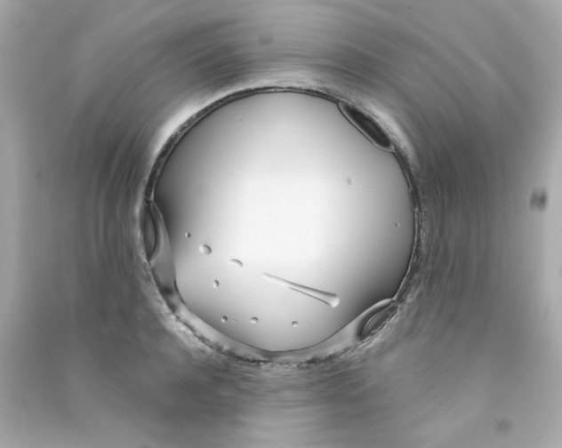X0000090500944200708102238