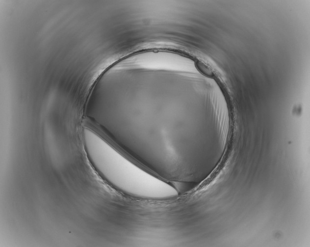 X0000090500945200708102238