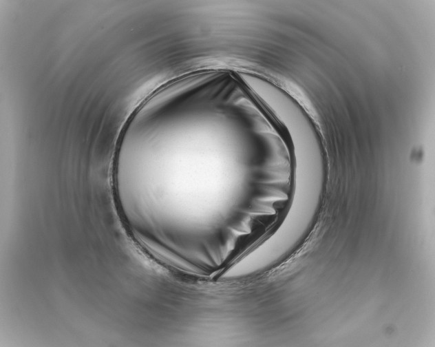 X0000090500946200708102238