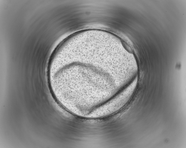 X0000090500947200708102238