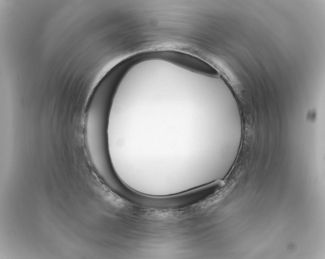 X0000090500948200708102238