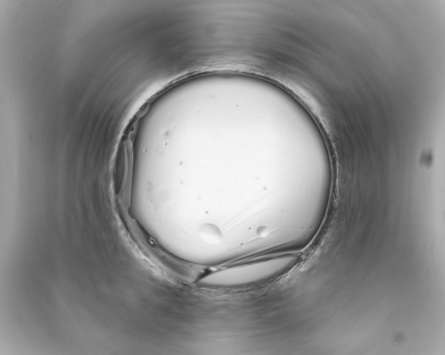 X0000090500949200708102238