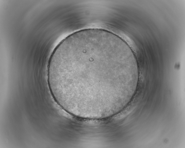 X0000090500950200708102238