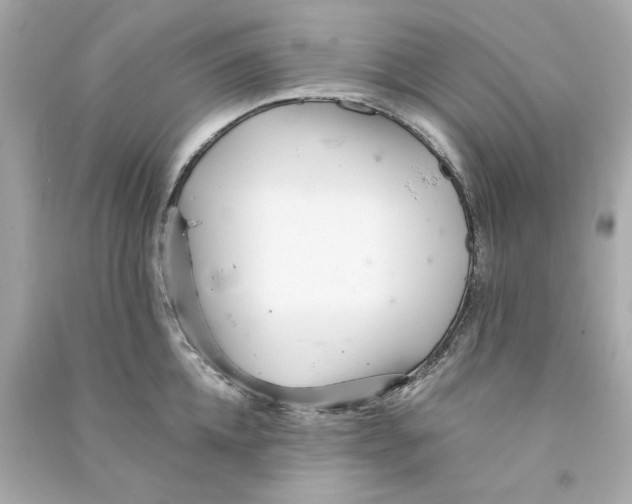X0000090500952200708102238