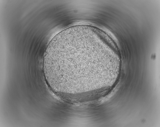 X0000090500953200708102238