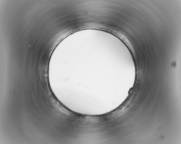 X0000090500954200708102238