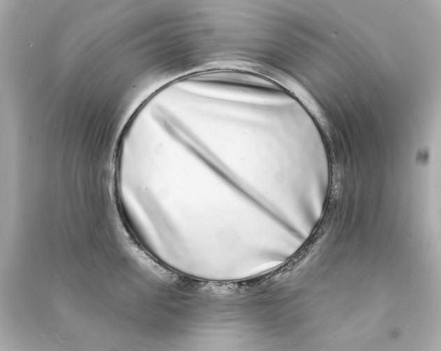 X0000090500955200708102238