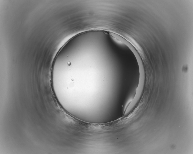 X0000090500956200708102238