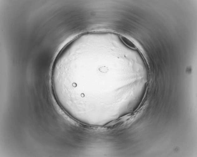 X0000090500957200708102238