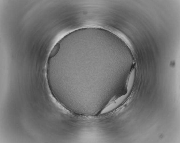 X0000090500958200708102238