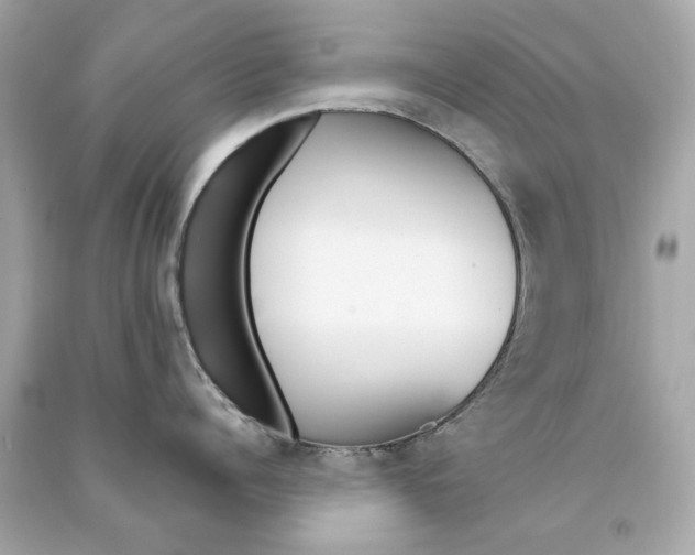 X0000090500960200708102238