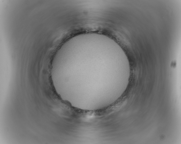 X0000090500961200708102237