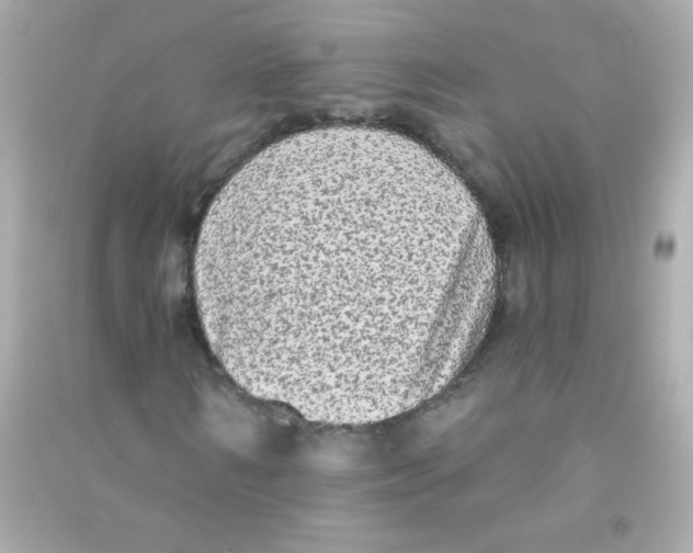 X0000090500962200708102237