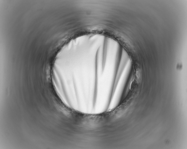 X0000090500963200708102237