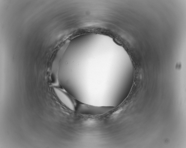 X0000090500965200708102237