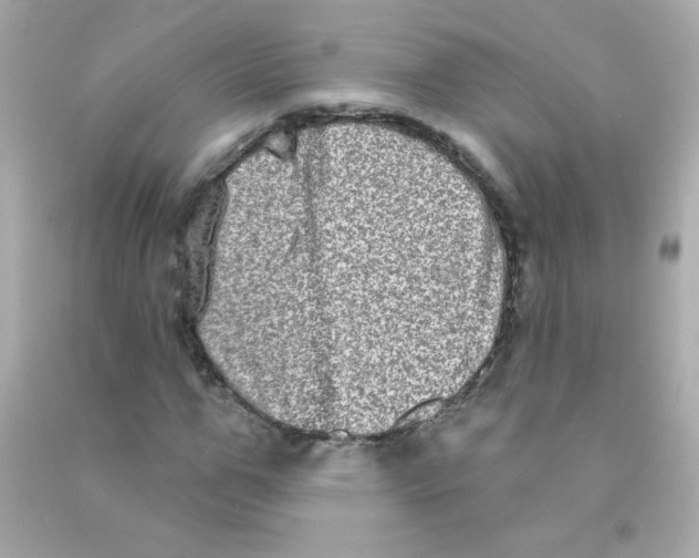 X0000090500967200708102237