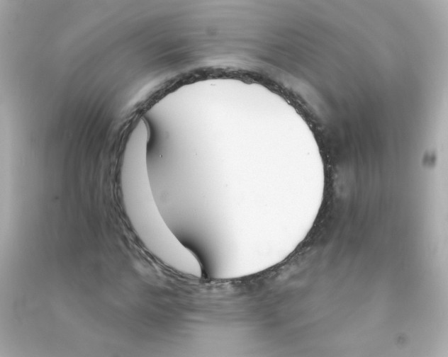 X0000090500968200708102237