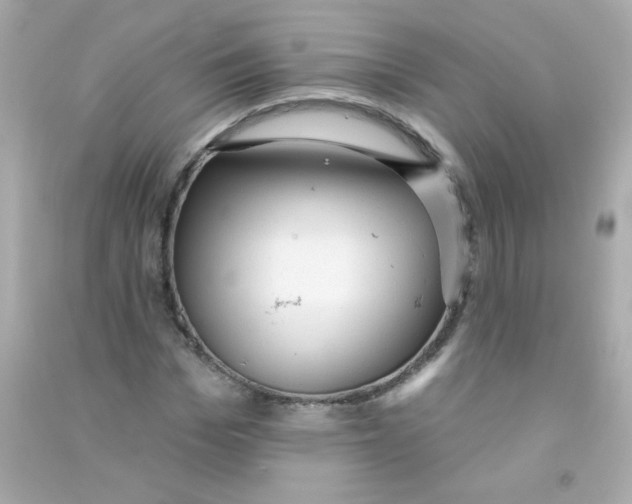 X0000090500969200708102237