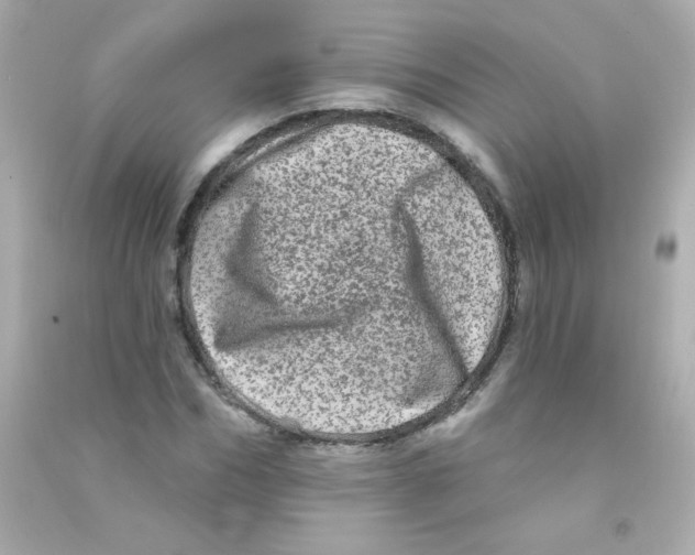 X0000090500970200708102237