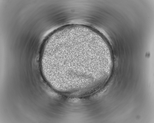 X0000090500971200708102237