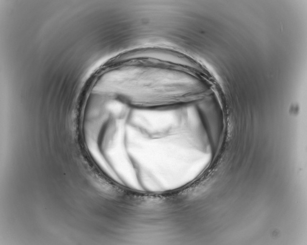 X0000090500975200708102237