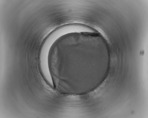 X0000090500977200708102237