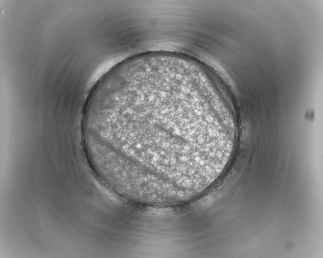 X0000090500978200708102237