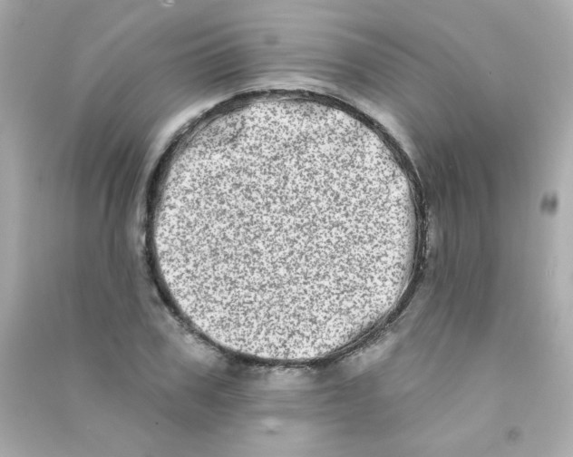 X0000090500979200708102237