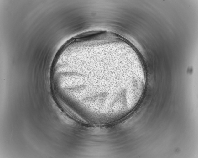 X0000090500980200708102237