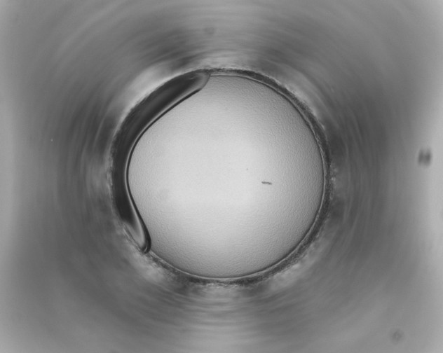 X0000090500981200708102237