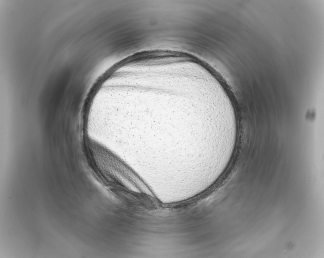 X0000090500982200708102237