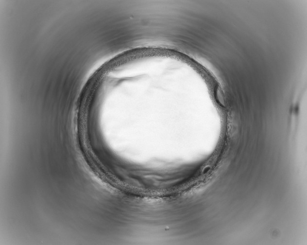 X0000090500983200708102237