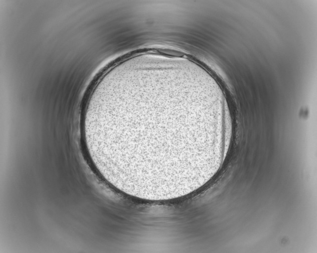 X0000090500984200708102237