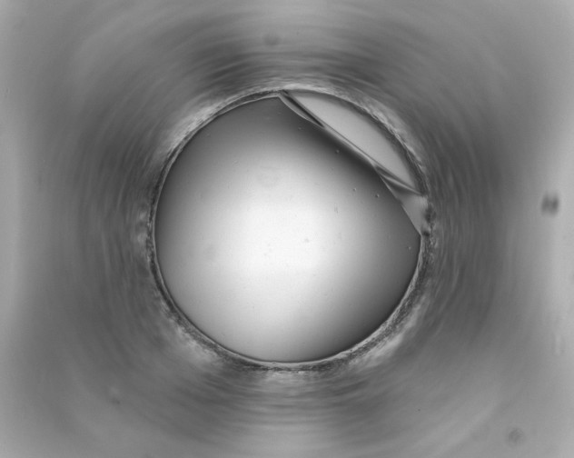 X0000090500985200708102237