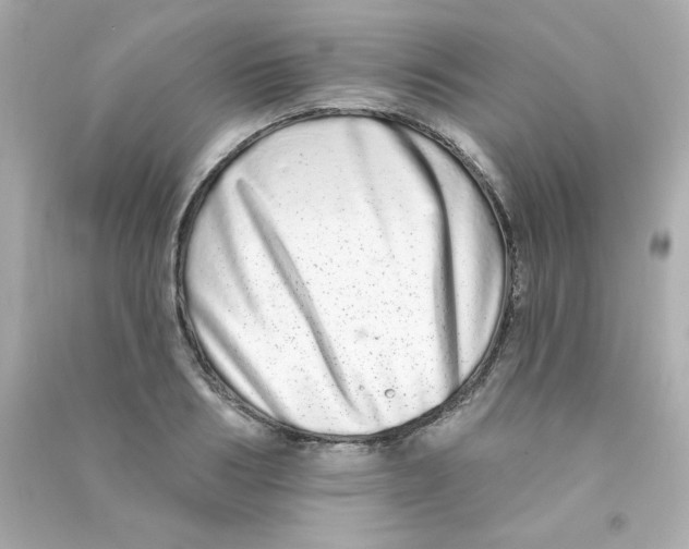 X0000090500986200708102237