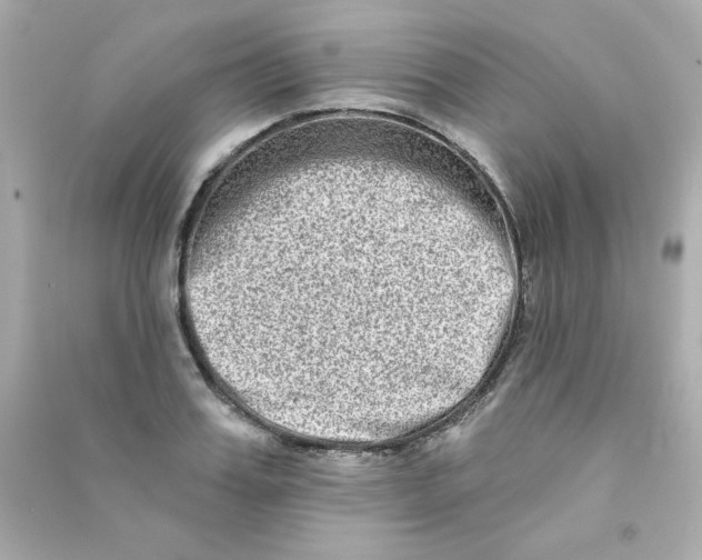 X0000090500987200708102237