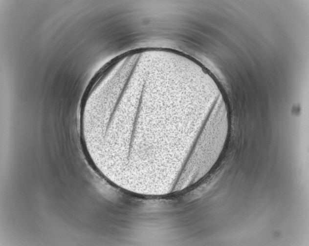 X0000090500988200708102237