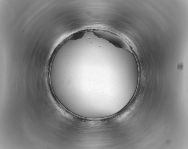 X0000090500989200708102237