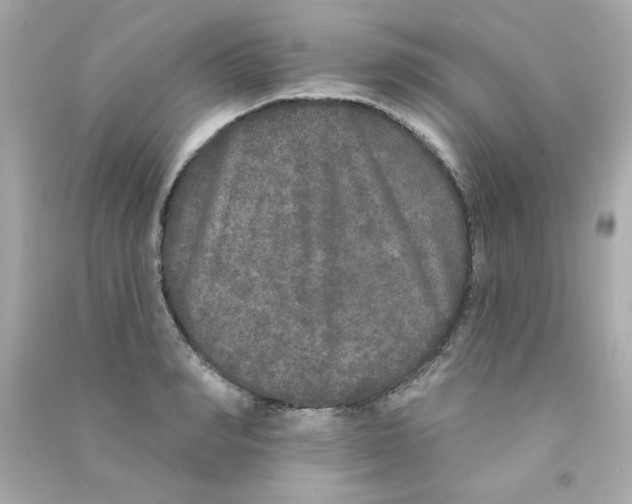 X0000090500990200708102237