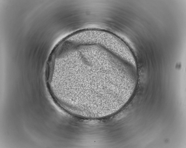 X0000090500991200708102237